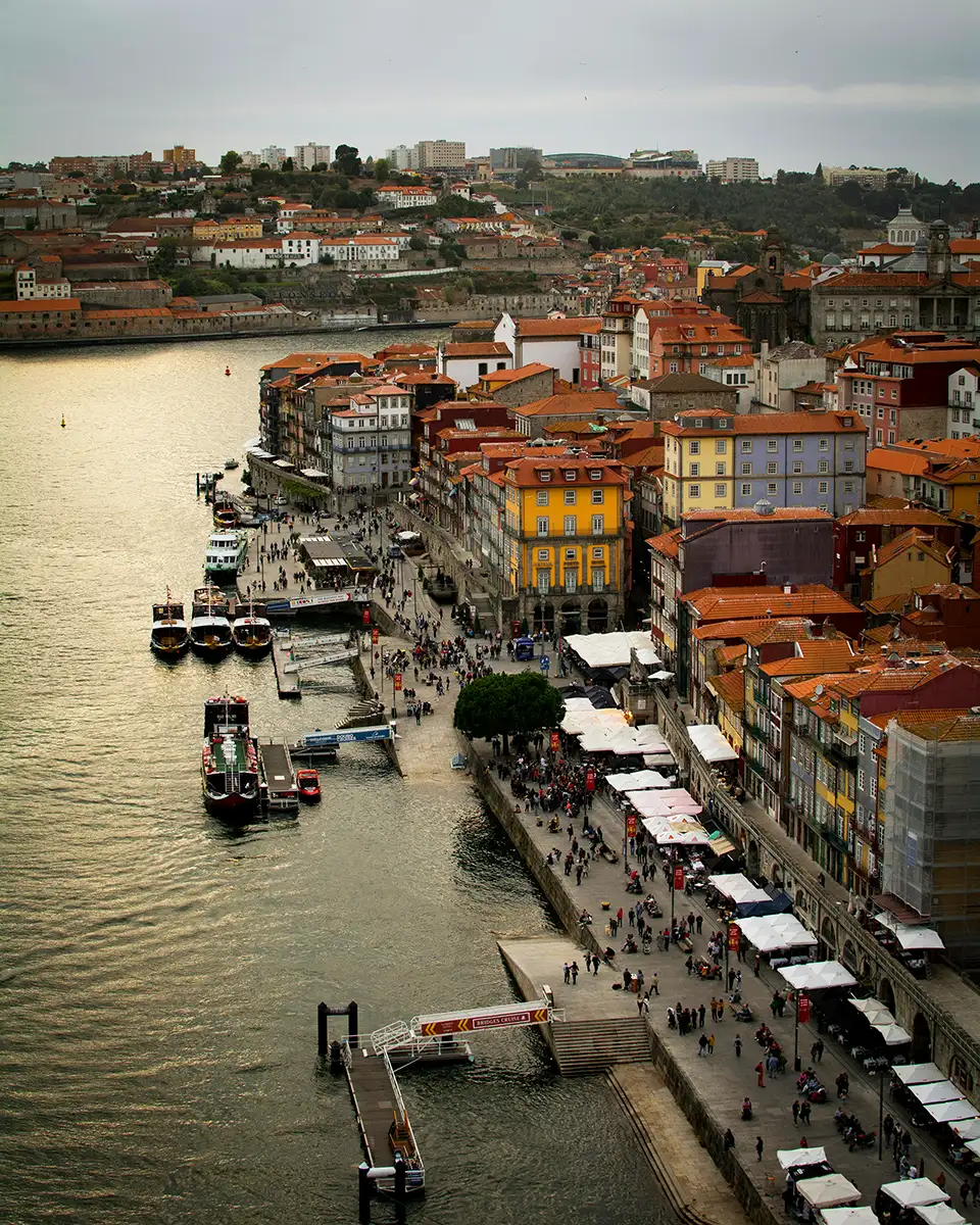 Terraced Douro Valley vineyards from a river cruise